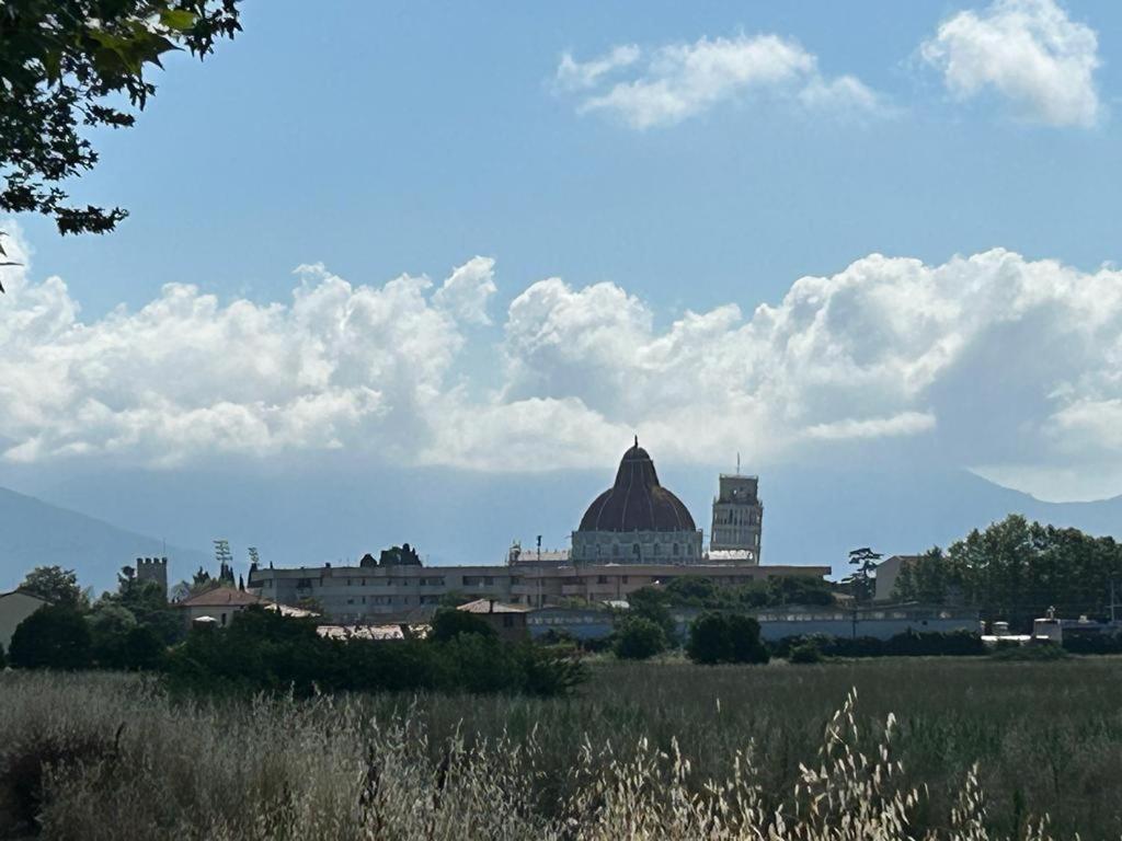Nido Del Parco, Delizioso Bilocale A Lejlighed Pisa